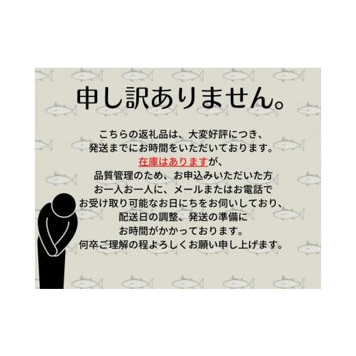 ふるさと納税 神奈川県 三浦市 A20-017 本物の味をお届け！厳選！天然三崎まぐろ背トロ＆中トロ・赤身セット（只今6か月待ち）