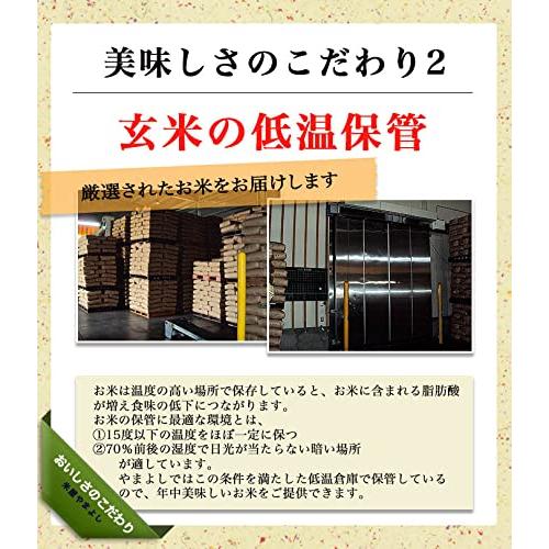 新米 福島県中通り産 白米 ミルキークイーン 25kg (5kg×5) 令和5年産 ※沖縄対応不可