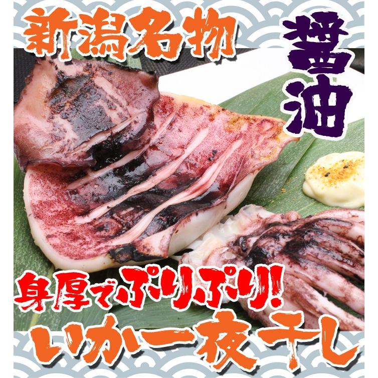 干物 いか 新潟名物 いか一夜干し 醤油２枚入 イカ 烏賊 おつまみ 肴 海鮮 ギフト