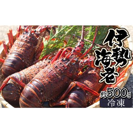 ふるさと納税 KU345 ＜生冷凍・数量限定＞宮崎県串間産 天然伊勢エビ(計約500g・1〜3匹)  宮崎県串間市