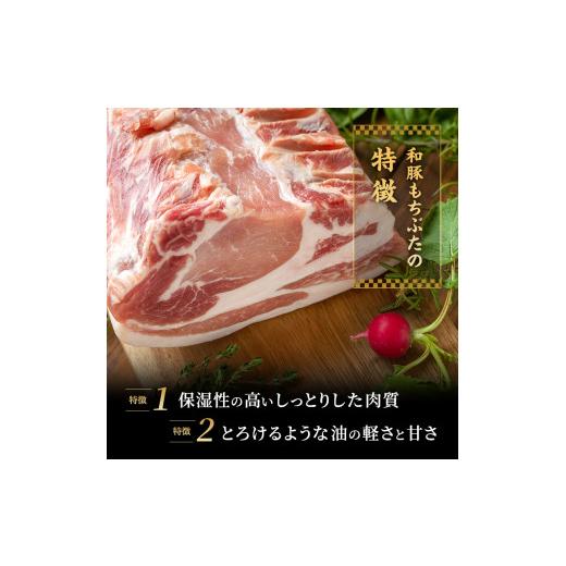 ふるさと納税 宮城県 大河原町 もちぶた館オリジナル 和豚もちぶた