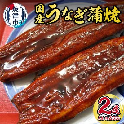 ふるさと納税 焼津市 スギヤマ国産うなぎ約200g×2尾(a15-337)