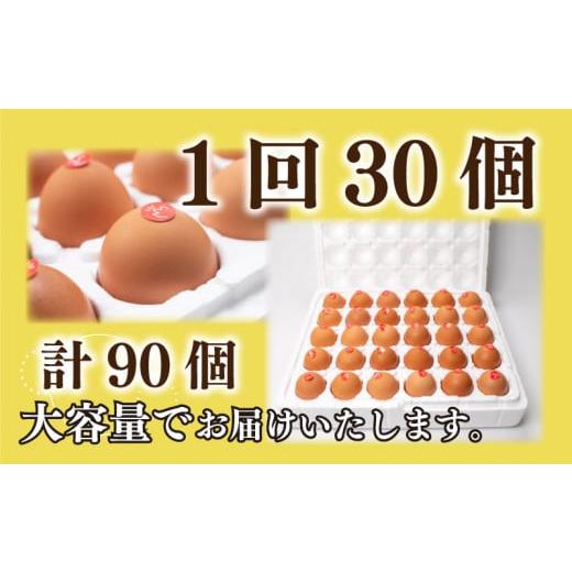 ふるさと納税 山口県 下関市 たまご 卵 定期便 3ヶ月分 30個 × 3ヶ月 計 90個  26個 ＋ 割れ保障 4個 ×3ヶ月分 玉子 産みたて 国産 新鮮 卵かけご飯 大…