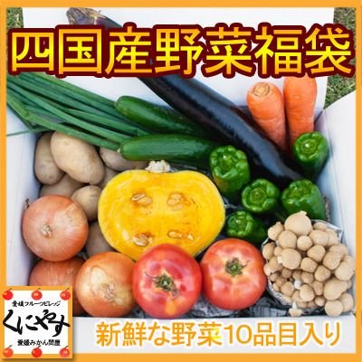 愛媛「四国産野菜福袋(10品目)」送料無料 ヤマト配送クール便 野菜,福袋,愛媛,四国,セット,詰め合わせ