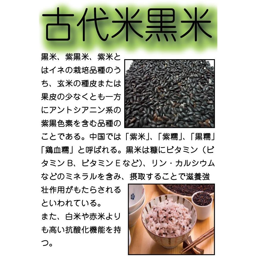 お米 米 1kg 玄米 送料無料 熊本県産 黒米 無農薬 あすつく 新米 令和5年産 古代米 くまもとのお米 富田商店 とみた商店