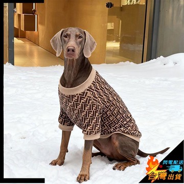 【台灣出貨】寵物服飾 保暖舒適 中大型犬保暖德絨加厚大狗衣服 帥氣杜賓威馬春秋冬款 寵物兩腳衛衣