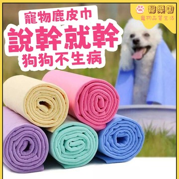 ⭐【現貨/隔日達】貓咪毛巾 小狗洗澡浴巾 寵物速乾毛巾 狗狗吸收毛巾 加厚浴巾 貓咪擦拭浴巾 貓咪洗澡巾 大號仿鹿皮浴巾
