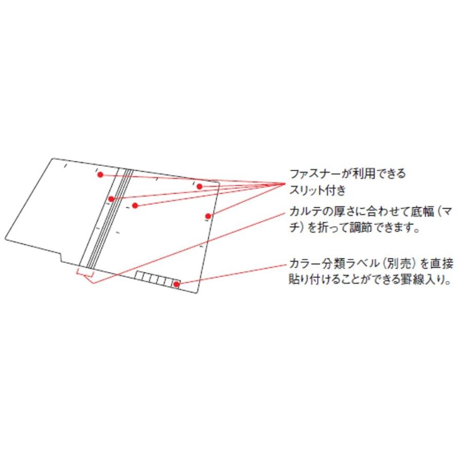 LIHIT LAB. リヒトラブ サウザウンドフォルダー 入 A4 HK702