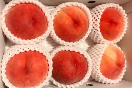旬の桃おまかせ3kg・7～8玉（自家製有機肥料・減農薬・化学肥料無使用）