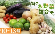 高知県香南市産 旬のお野菜詰合せ(10～13品目) pr-0007