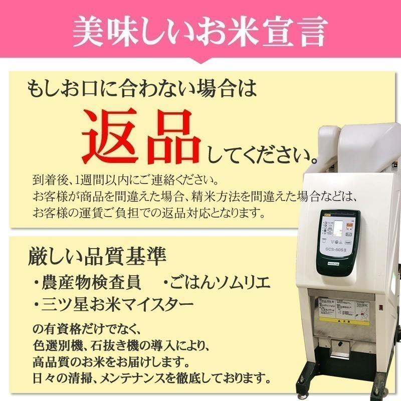 新米 米 お米 10kg×3 銀河のしずく 玄米30kg 令和5年産 岩手県産 白米・無洗米・分づきにお好み精米 送料無料 当日精米