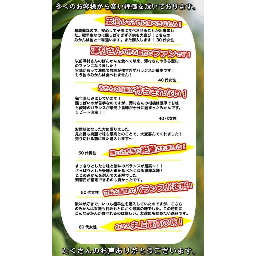 山北みかん 減農薬 約2kg  お試し品 訳あり サイズ混合  温州みかん 送料無料 高知県産