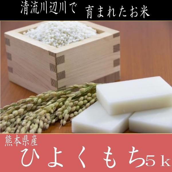 令和5年産 ヒヨクモチ 5kg 熊本県産 　精白米