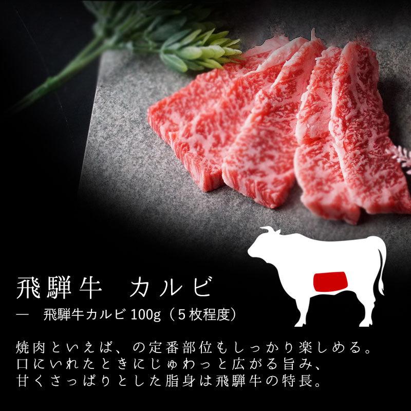 肉 福袋 牛肉 焼肉セット 1人前 飛騨牛入 ソロキャン  バーベキュー バーベキューセット 黒毛和牛 焼肉 お取り寄せグルメ