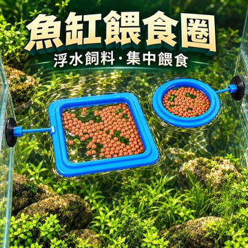 台灣現貨免運🚚 浮力 餵食圈 水族 魚缸 自動餵食器 魚飼料 烏龜 養魚 飼料集中 餵魚
