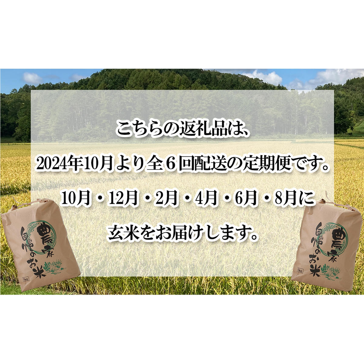 ＜ 予約 定期便 全6回 ＞ 北海道産 希少米 おぼろづき 玄米 計 10kg (5kg×2) ＜2024年10月より配送＞