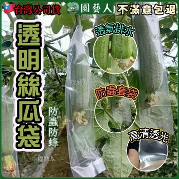 【園藝人最便宜防蟲套袋 芒果套袋 苦瓜套袋  防蟲袋 絲瓜套袋