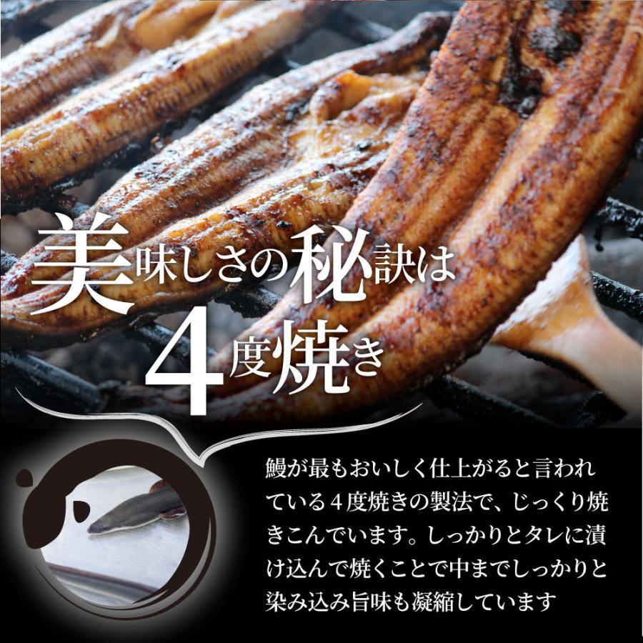 うなぎ蒲焼 5本入り（約200ｇ×5）たれ・山椒付き 鰻 かば焼き 土用 丑の日 湯煎 レンジOK 簡単解凍するだけ 惣菜 冷凍当日発送