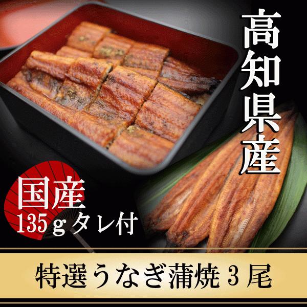 うなぎ 国産 蒲焼き 高知県産 特選うなぎ蒲焼 135g×3尾 鰻 ギフト プレゼント 人気 お取り寄せ お礼 お祝い お返し 美味しい 海鮮グルメ 贈答 食品 お歳暮