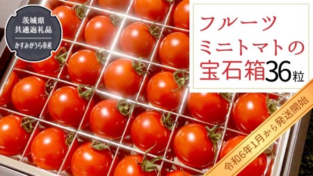 フルーツミニトマト の 宝石箱 36粒  野菜 トマト フルーツ ミニトマト フルーツ