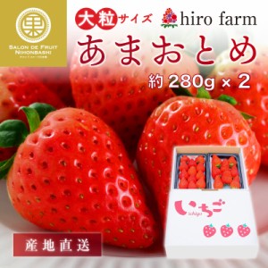 [最短順次発送] 産地直送 あまおとめ 大粒サイズ 約280g×2 ヒロファーム hiro farm いちご農園 埼玉県産 化粧箱 苺 イチゴ ギフト プレ