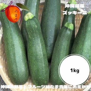 沖縄県産ズッキーニ１kｇ 沖縄の島野菜