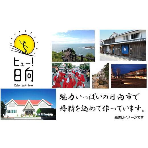 ふるさと納税 宮崎県 日向市 宴の彩り ベーコン・焼豚 2本セット [南日本ハム 宮崎県 日向市 452060186]