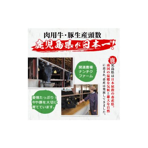 ふるさと納税 鹿児島県 志布志市 鹿児島県産黒毛和牛 不揃いロースステーキ(タレ漬け)400g×1P a0-248