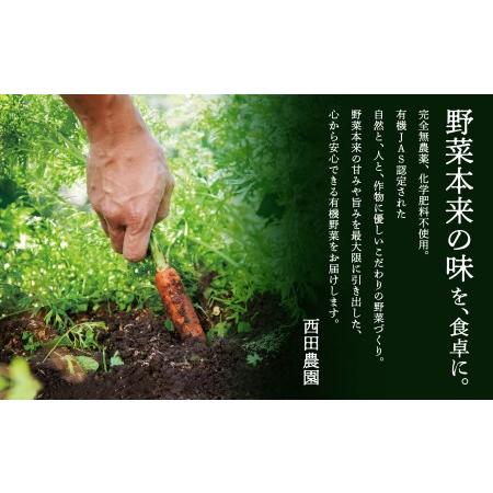 ふるさと納税 西田農園　季節の野菜詰合せ　Aセット 010001 石川県小松市