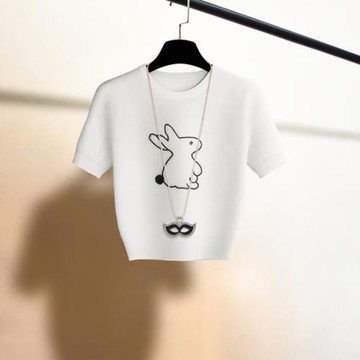 冰絲短袖高腰韓版針織T恤設計感顯瘦打底衫白色體恤漂亮上衣女夏