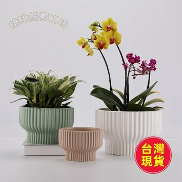 【北歐風蝴蝶蘭花盆】陶瓷花盆 盆栽 花盆陶瓷 蘭花盆 陶瓷 陶瓷花盆 陶瓷盆栽 室內盆栽 辦公綠植 長壽花 蝴蝶蘭 花盆