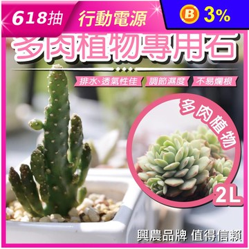【花公主】多肉植物專用石2L