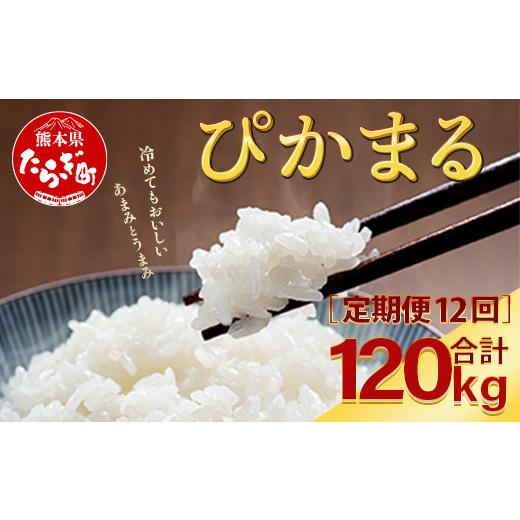 ふるさと納税 熊本県 多良木町 多良木町産 『ぴかまる』 ＜5kg×2袋＞×12回 計120kg【 定期便 定期配送 精米 お米 米 艶 粘り 甘み うま味 も…