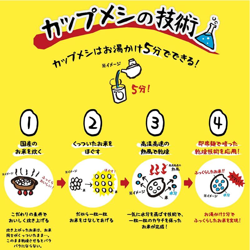 日清食品 カップヌードル ぶっこみ飯 90g ×6個 送料無料