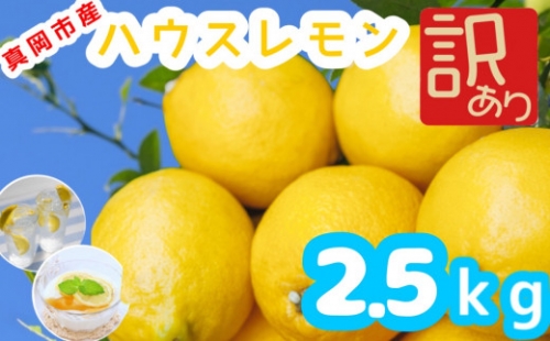 真岡市産 訳あり品 ハウス レモン 2.5kg  真岡市 栃木県 送料無料