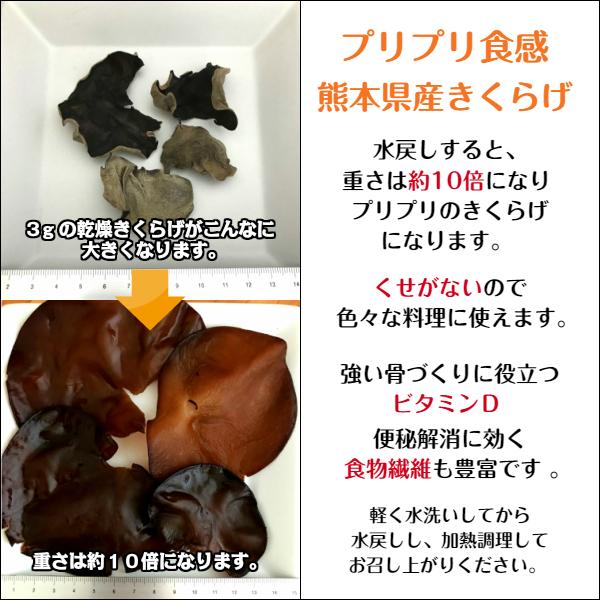 国産 きくらげ 熊本県産 100g 優良品 乾燥 天日仕上げ 無農薬 キクラゲ キクラゲ国産 木耳 乾燥キクラゲ 乾燥きくらげ 乾燥木耳