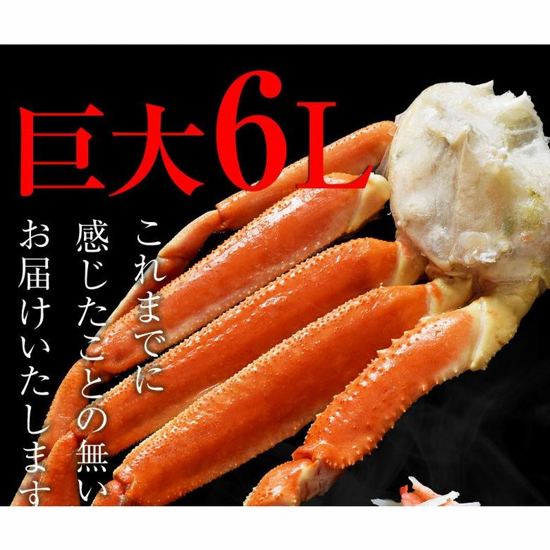 4〜6人前】巨大６Ｌズワイ蟹(ボイル済) ロシア産 4肩 総重量 約2kg