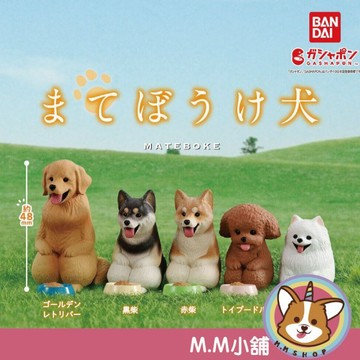 【M.M小舖】『現貨』 BANDAI 轉蛋 扭蛋 等一下狗狗 等待 黃金獵犬 柴犬 貴賓狗 博美 狗狗 公仔 全5款