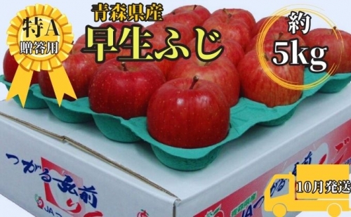 早生ふじ約5kg贈答用（10月発送）青森県産