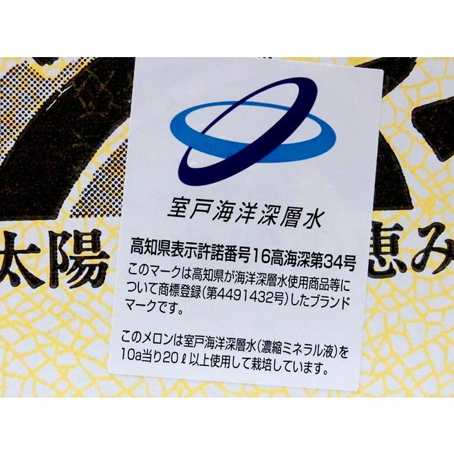 メロン 高知県 ”ミネラルメロン プリンセス・ニーナ” 5〜6玉前後 約9〜10kg 送料無料