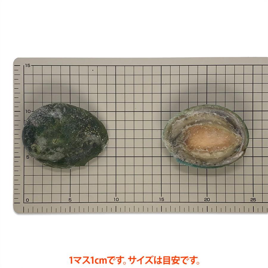 翡翠の瞳 美食あわび・お刺身用 約10粒化粧箱入り