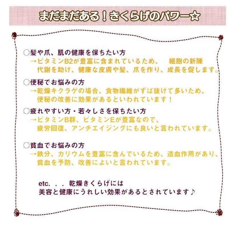 こぶりなきくらげ 55ｇ 熊本県人吉産 乾燥 きくらげ 国産 ミニ ホール みみなば 送料無料 こぶりなきくらげ あらげきくらげ 熊本 人吉