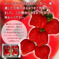 厳選大粒あまおう(4パック) 先行予約※2024年2月上旬4月上旬にかけて順次出荷予定　MY009