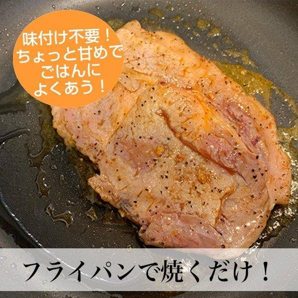 惣菜 バラエティセット 合計18袋入り 6種類×3袋入 少量サイズ 肉惣菜  惣菜セット    宮崎県産 冷凍