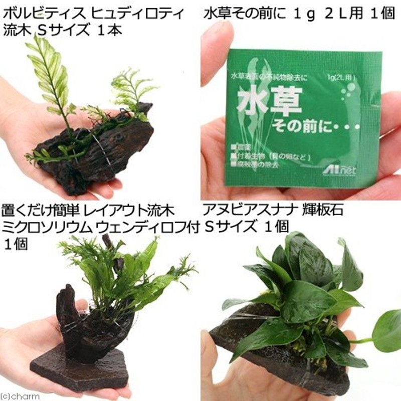 半額 （水草）置くだけ簡単 水草ボール（水中葉）（無農薬）５種セット