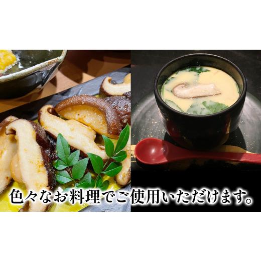 ふるさと納税 大分県 津久見市 乾燥椎茸 訳あり 椎茸100g×5パック 干し椎茸 しいたけ 乾燥しいたけ 原木 大分県 津久見市 九州産野菜