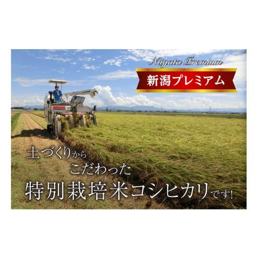 ふるさと納税 新潟県 燕市 『定期便』新潟プレミアム 特別栽培米 コシヒカリ 白米5kg × 3か月 FC027006