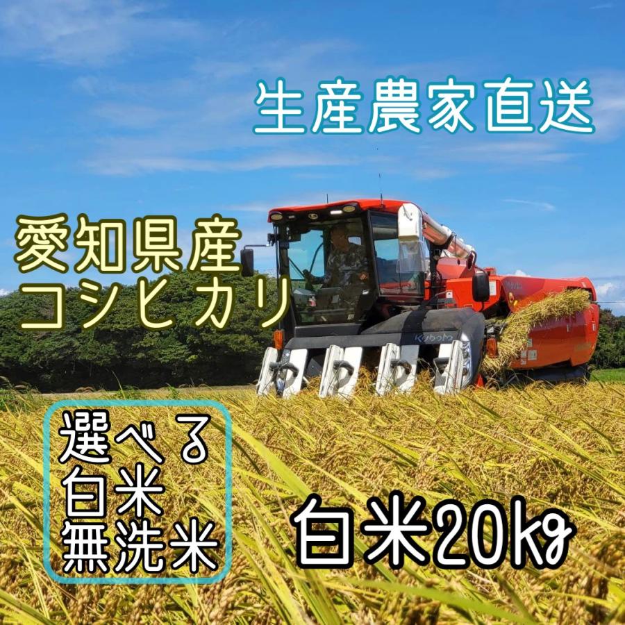 令和5年産 コシヒカリ 20kg 愛知県産 選べる 白米 無洗米 生産農家直送