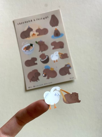 明信片貼紙：水豚