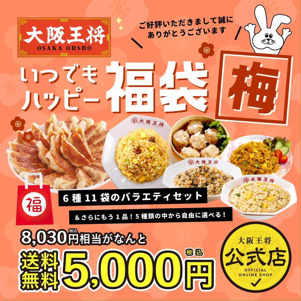 大阪王将いつでもハッピー福袋　梅　 送料無料 冷凍食品 冷凍餃子 お弁当 テレワーク ギフト 仕送り お取り寄せ